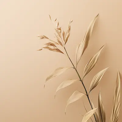 /cardImages/card2.webp